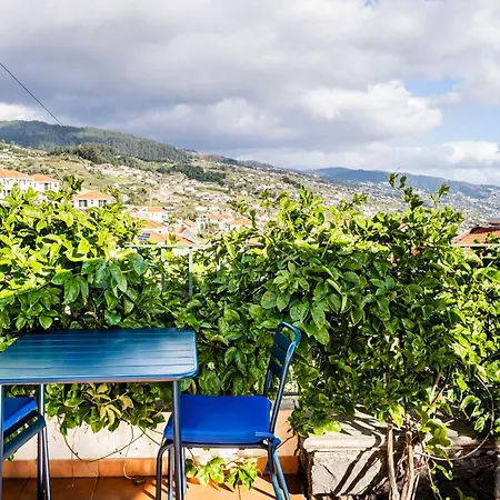 Namaste House Ii Lejlighed Funchal (Madeira)