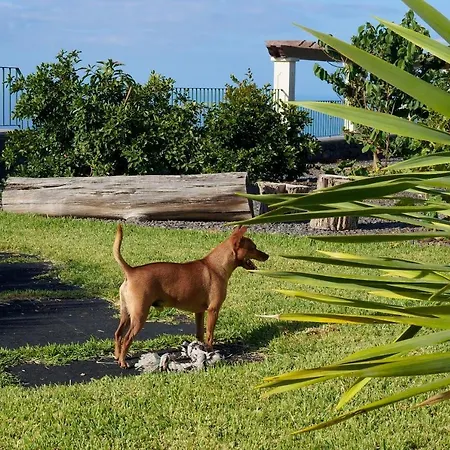 Apartmán Namaste House Ii Funchal (Madeira)